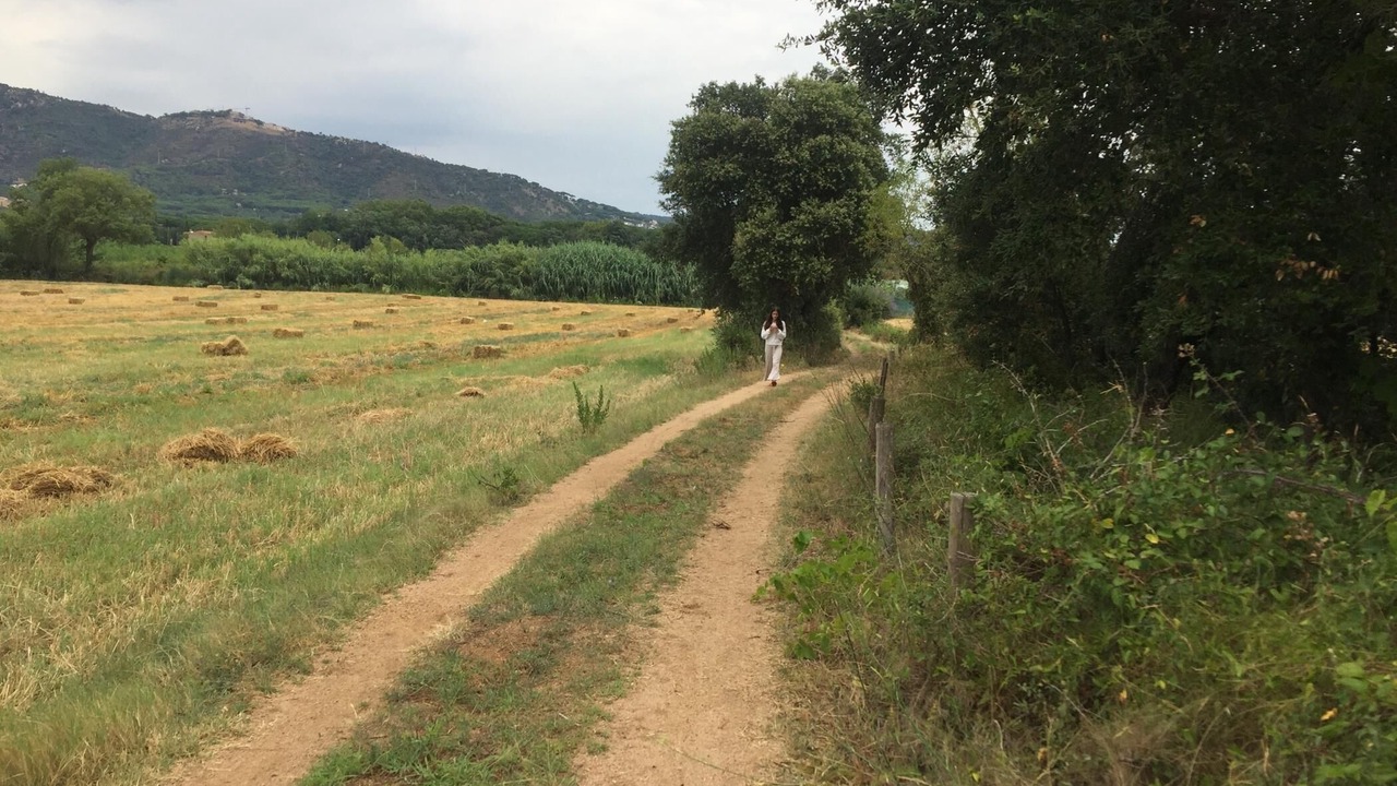 Photo of Outdoor in Platja d'Aro