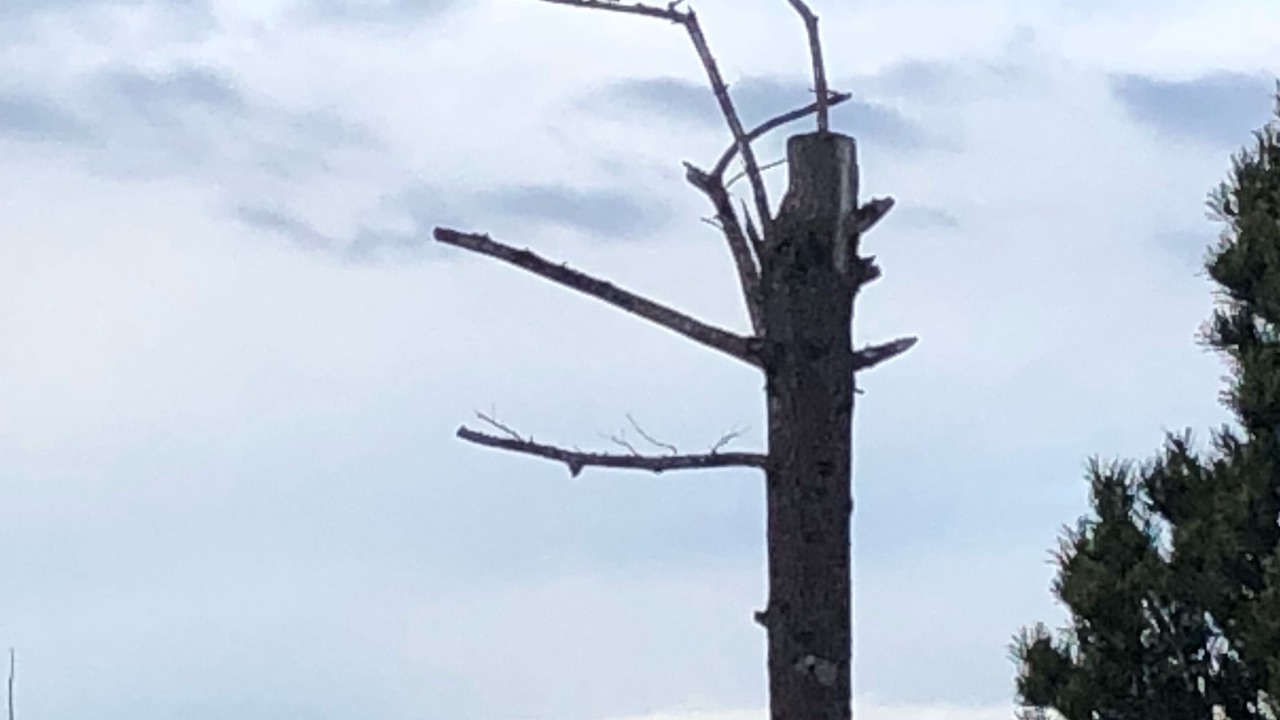 Photo of Others in Blaine