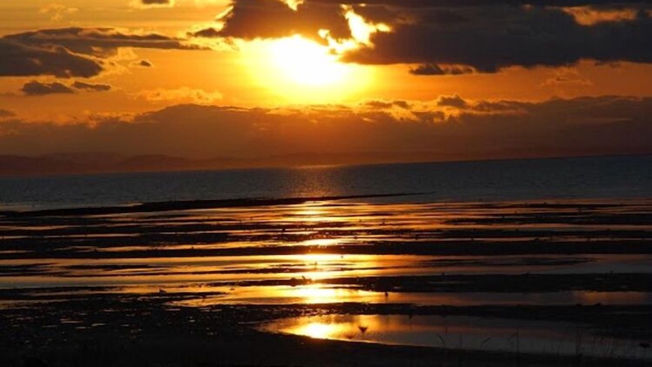 Photo of Others in Blaine