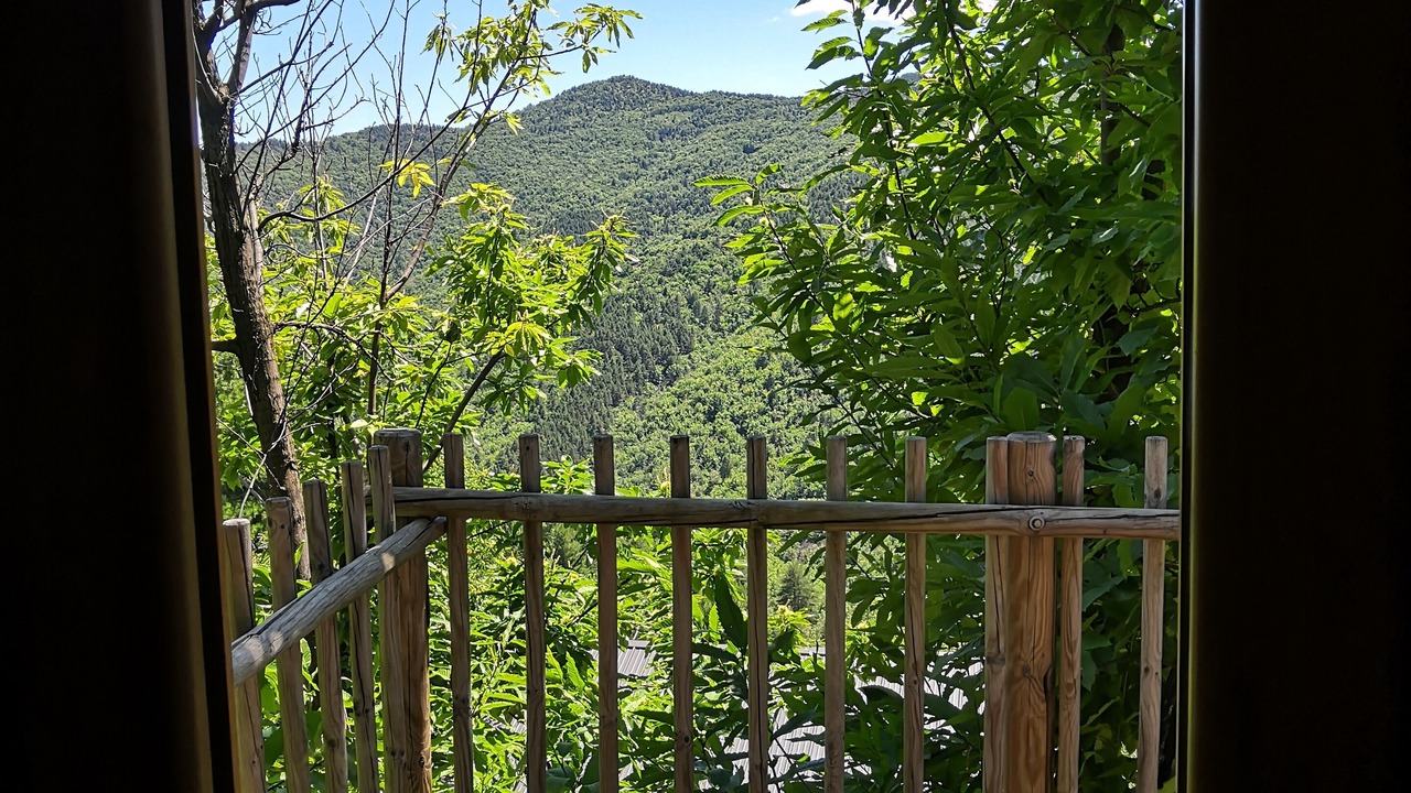 Photo of Others in Saint-Hilaire-de-Lavit