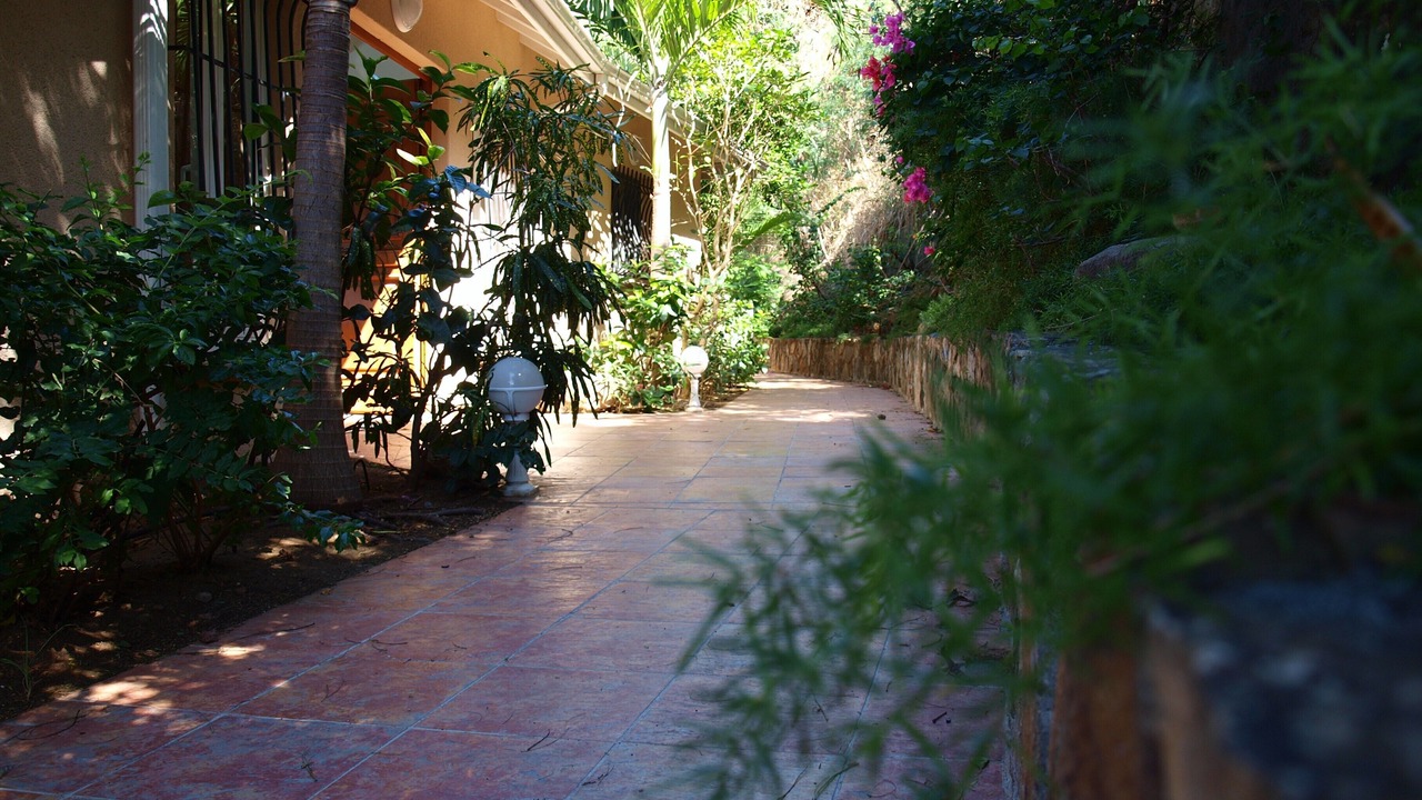 Photo of Outdoor in Anse Marcel