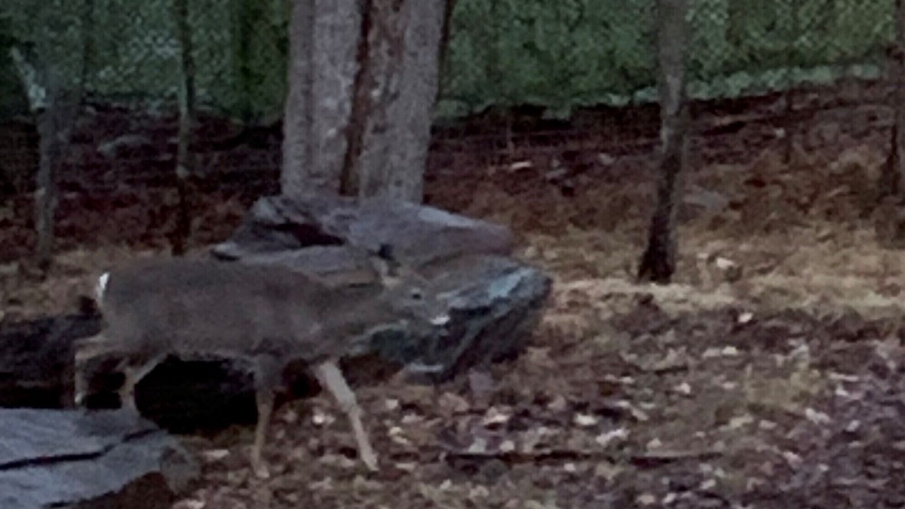 Photo of Others in Windham