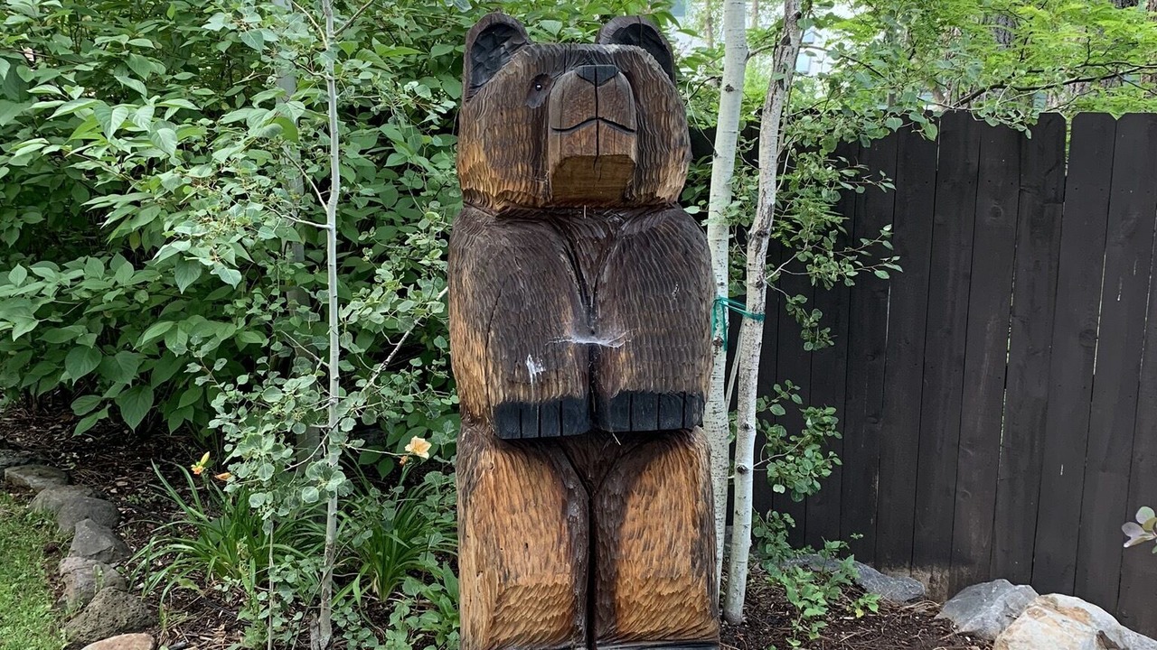 Photo of Others in Munds Park