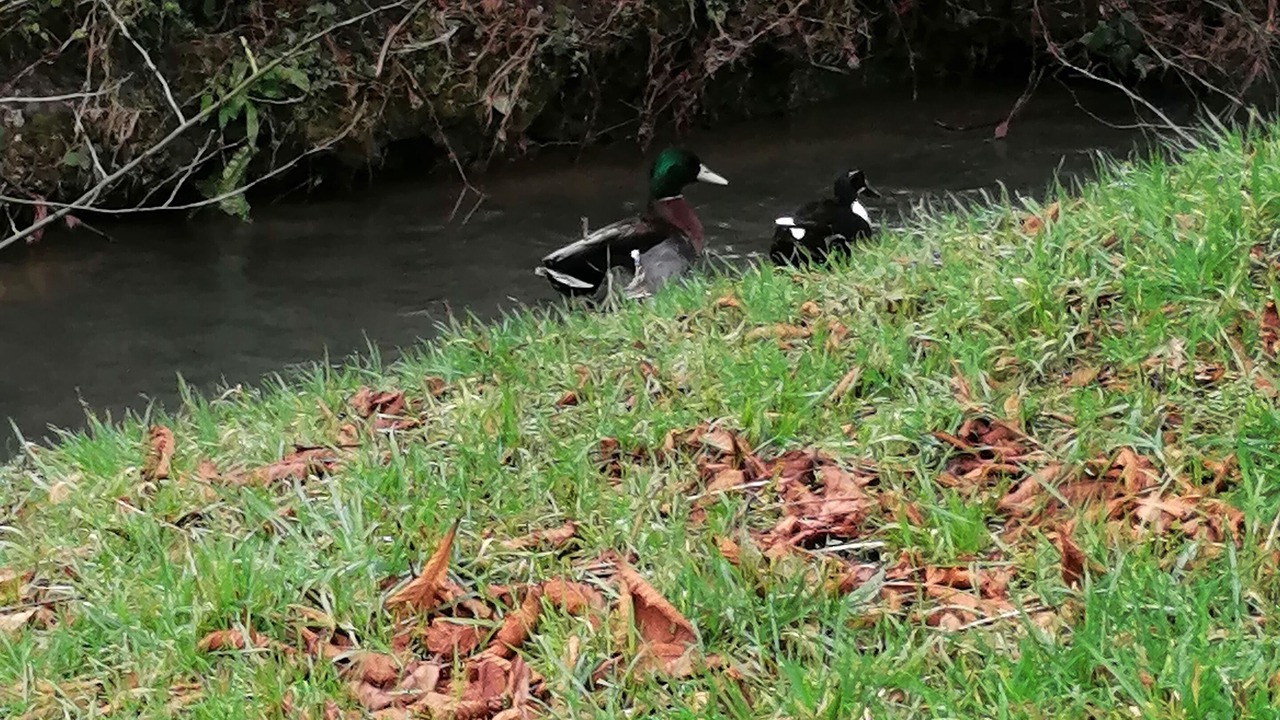 Photo of Outdoor in Fruges