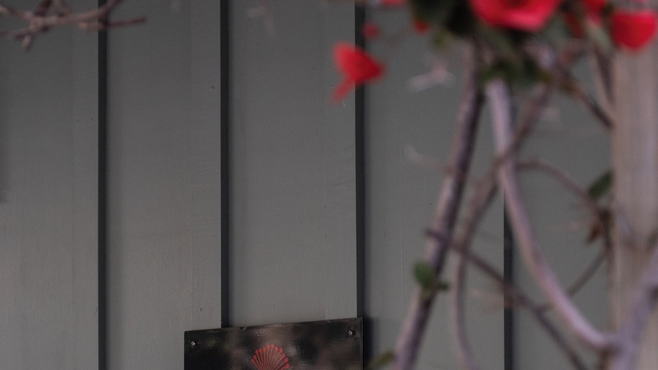 Photo of Outdoor in Raglan