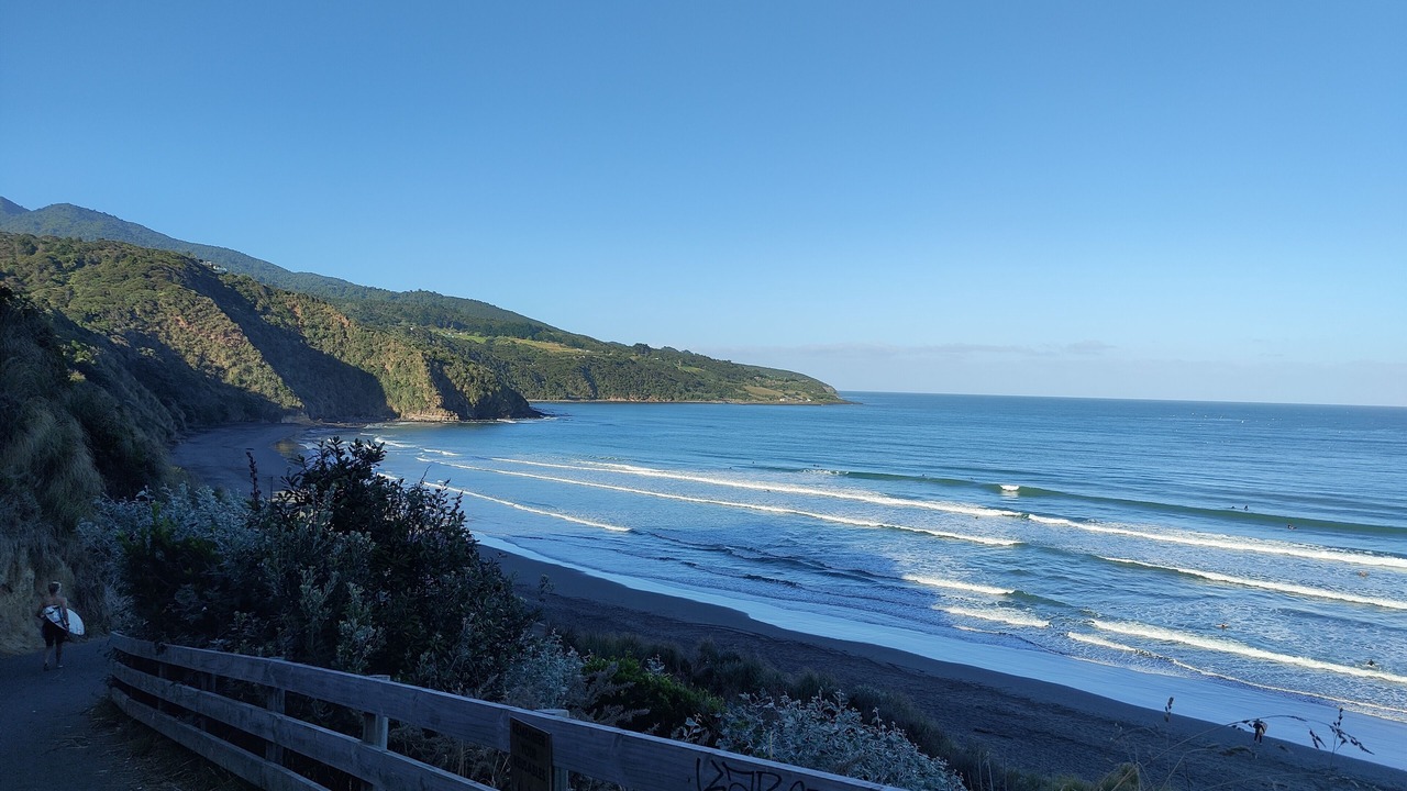 Photo of Others in Raglan