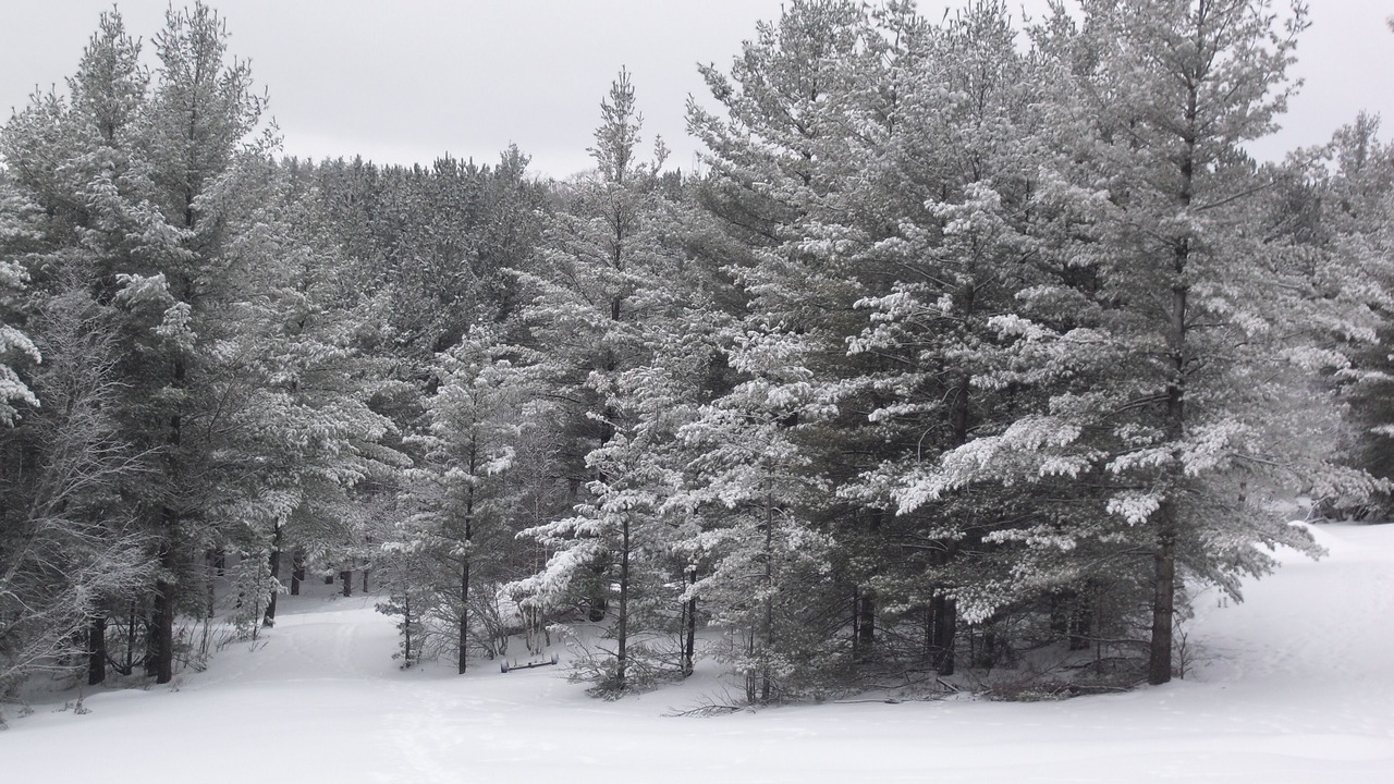 Photo of Others in Lowville