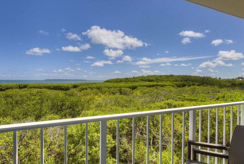 Photo of Outdoor in Tavernier