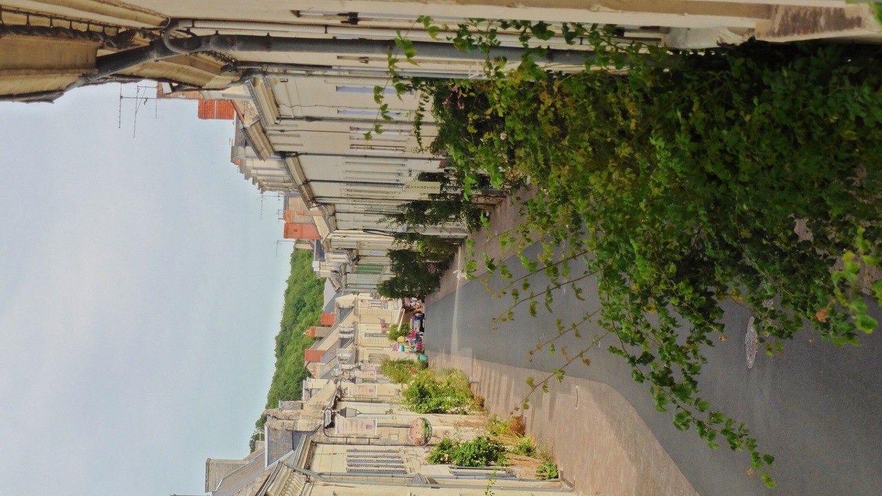 Photo of Outdoor in Fontevraud-l'Abbaye