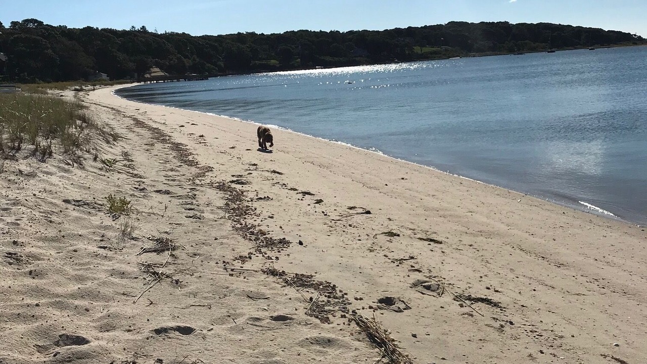 Photo of Others in Cutchogue