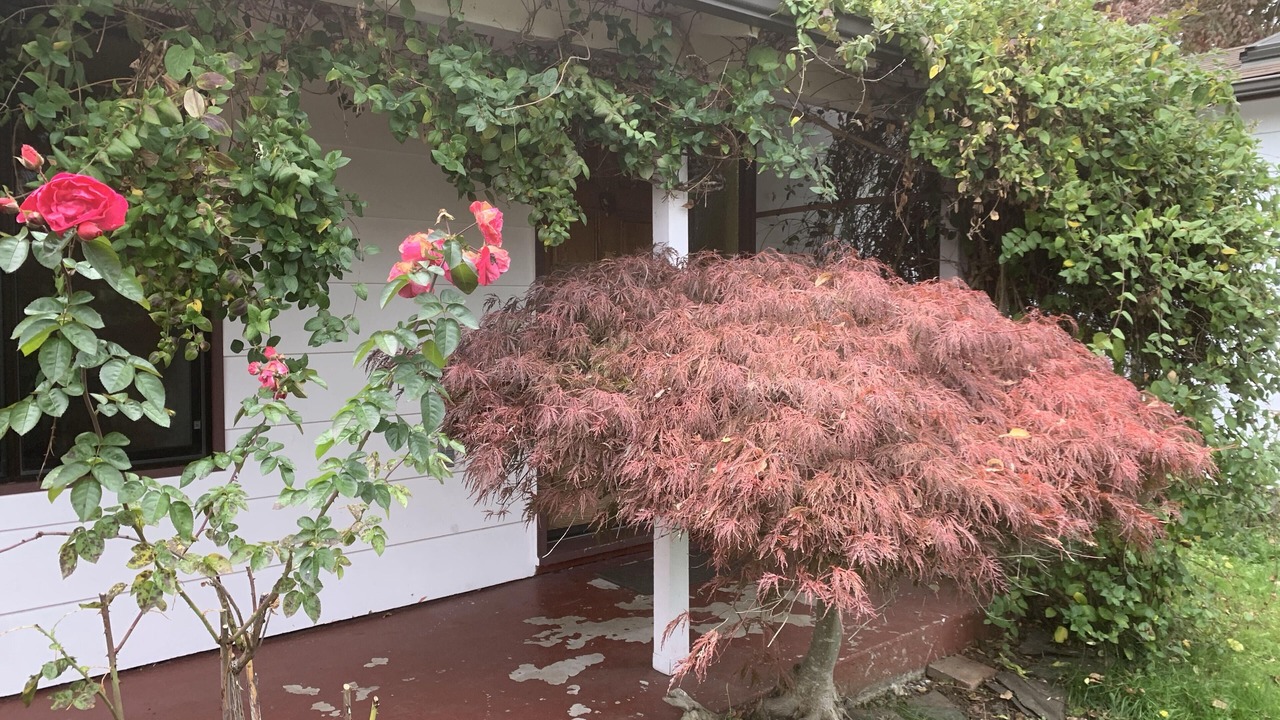 Photo of Outdoor in South Hills