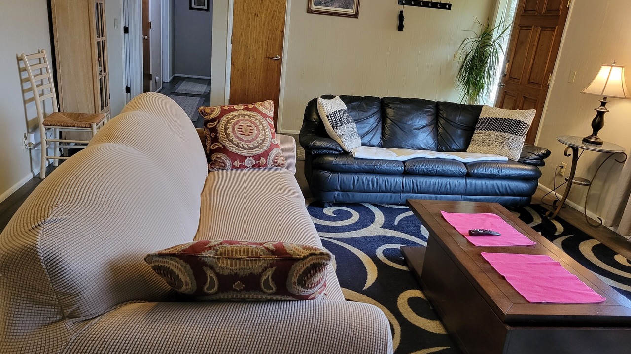 Photo of Livingroom in South Hills