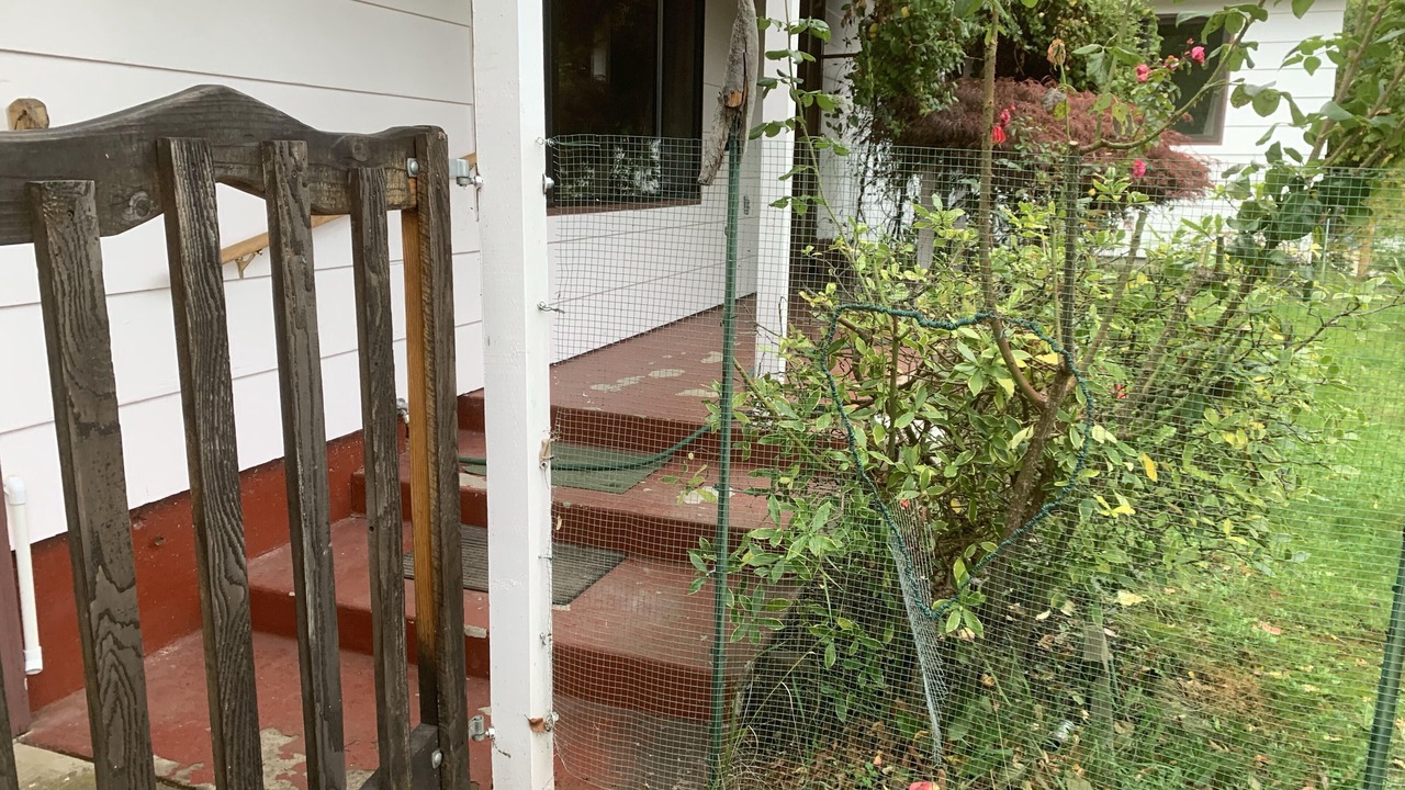 Photo of Outdoor in South Hills