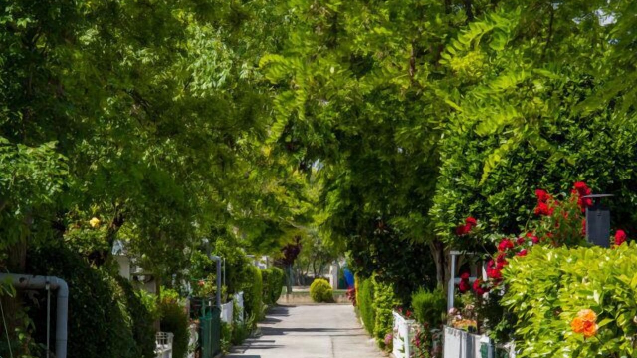 Photo of Outdoor in Olite