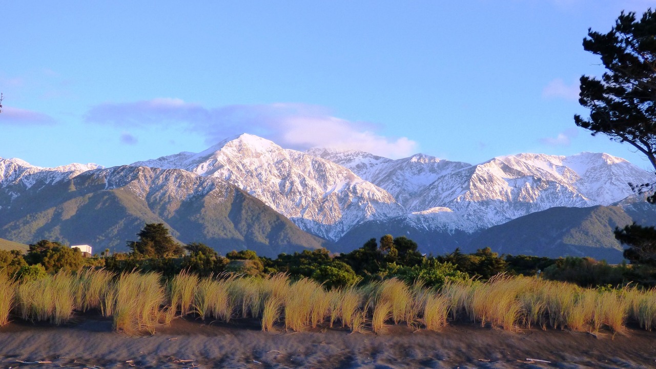 Photo of Others in Hapuku