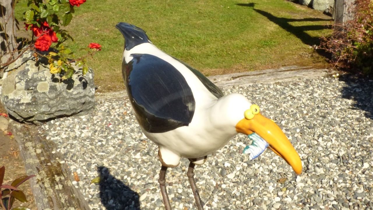 Photo of Outdoor in Hapuku