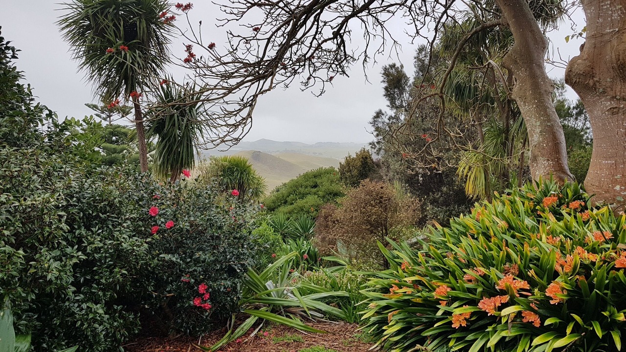 Photo of Others in Taiharuru