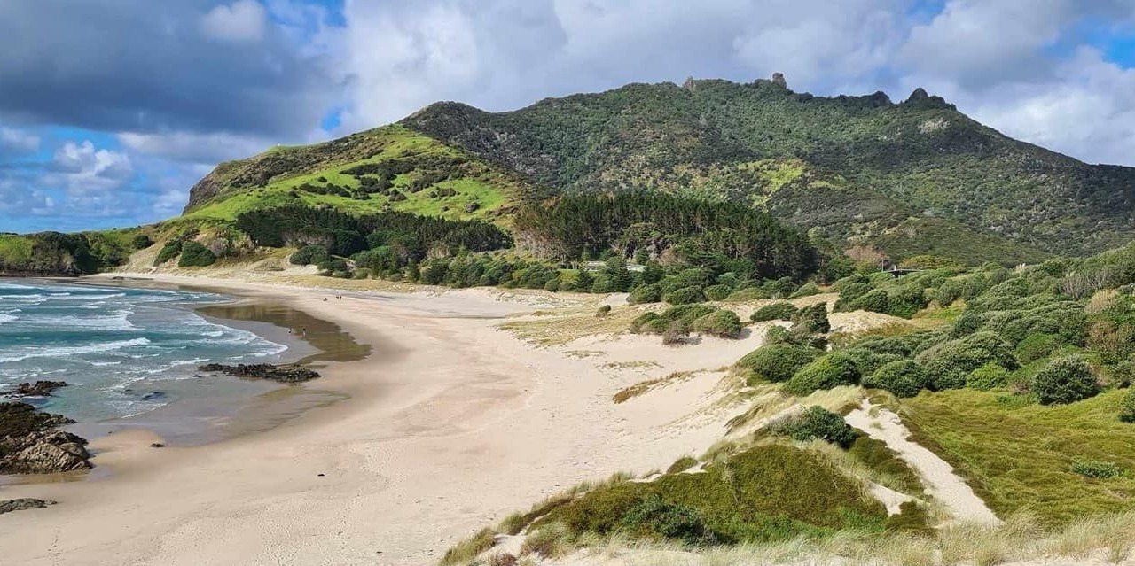 Photo of Others in Taiharuru