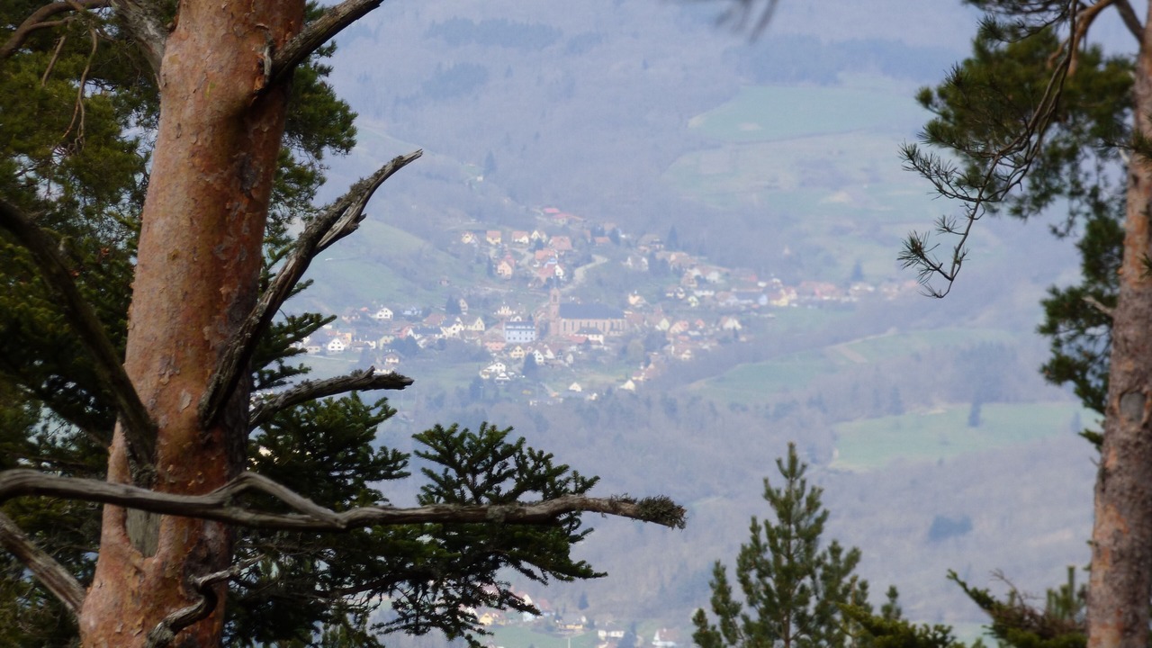 Photo of Others in Neuve-Eglise