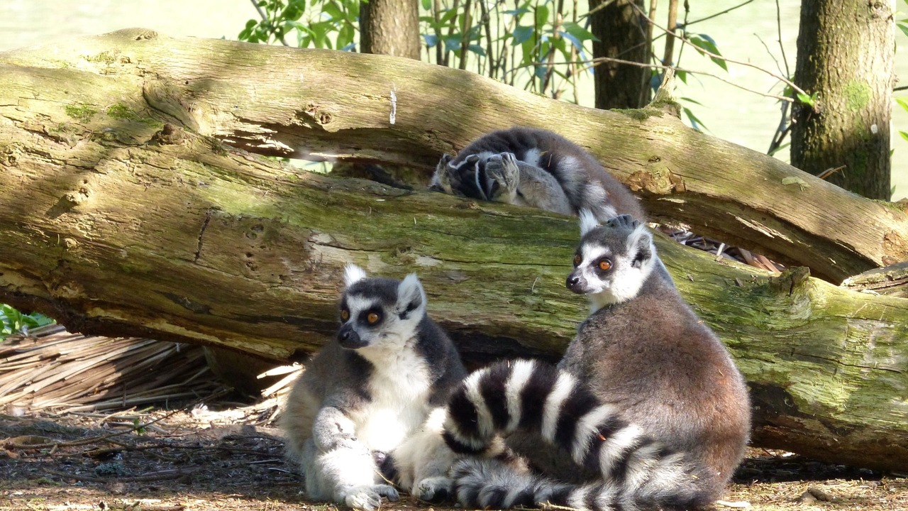 Photo of Outdoor in Montreuil-en-Caux