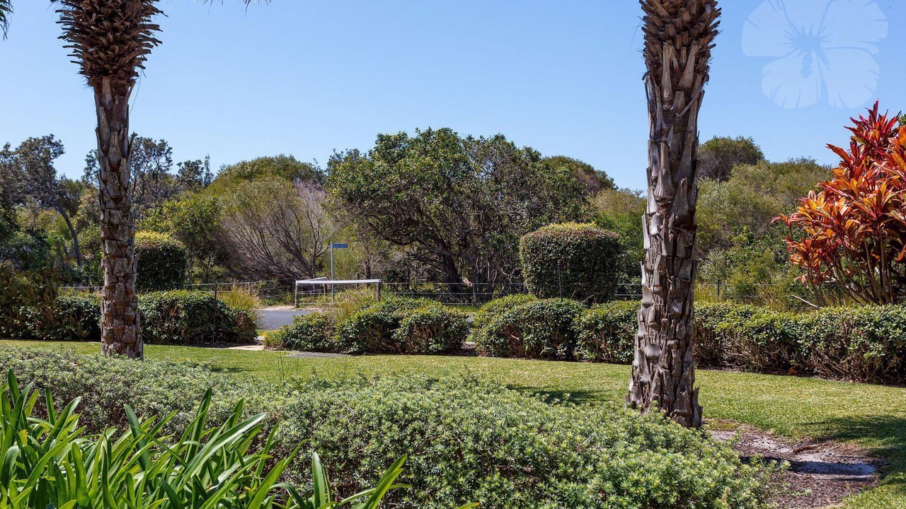 Photo of Outdoor in Hawks Nest