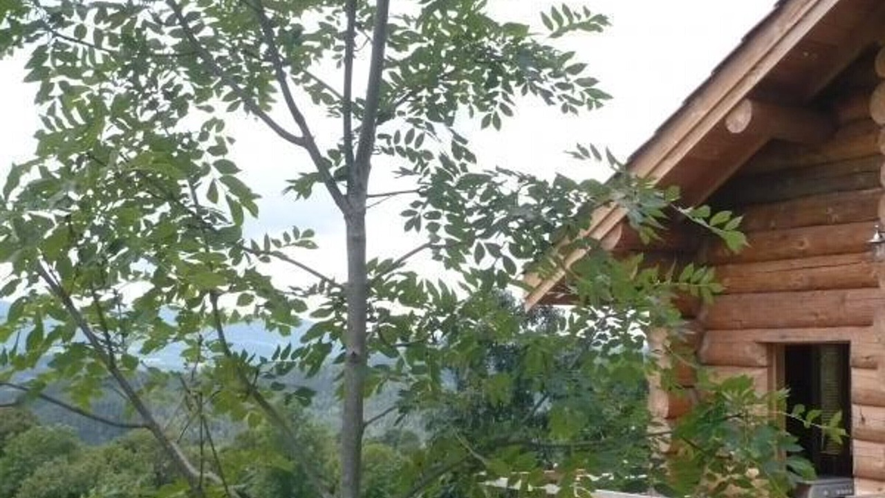 Photo of Outdoor in Saint-Martin-la-Sauvete