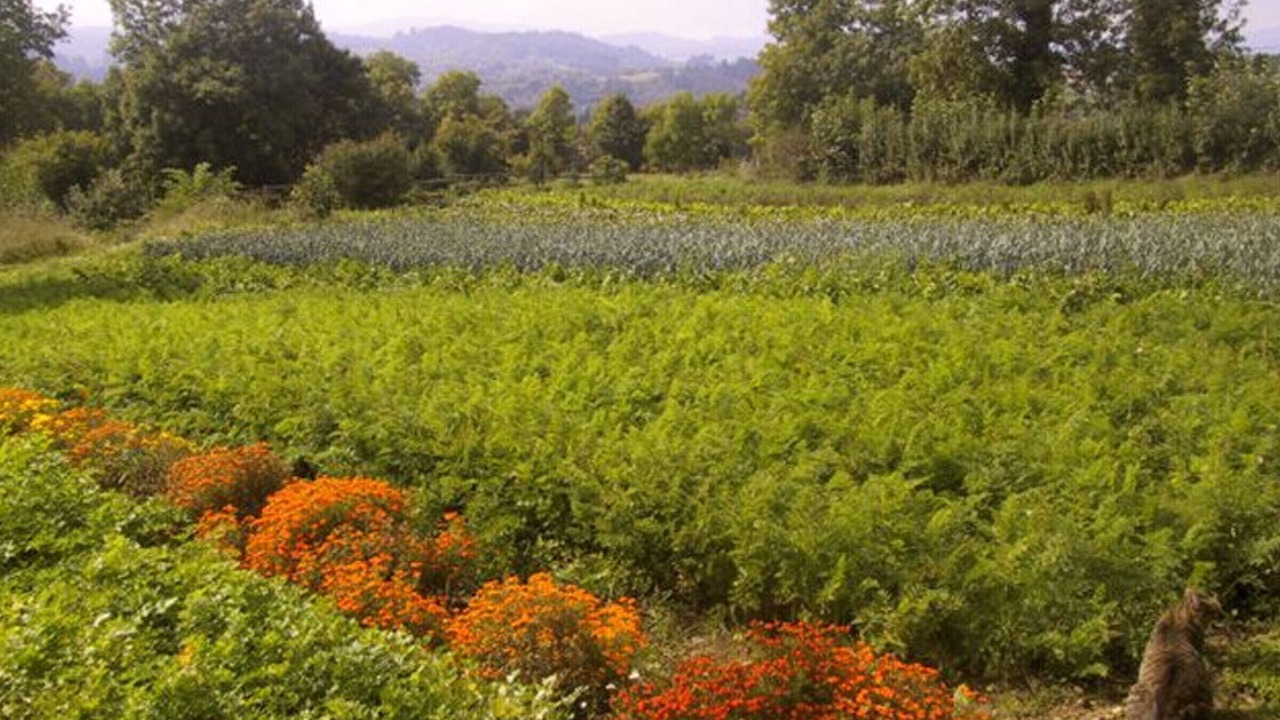 Photo of Outdoor in Saint-Martin-la-Sauvete