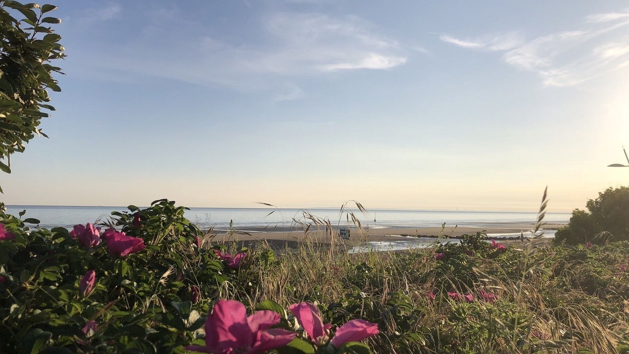 Photo of Others in Cabourg