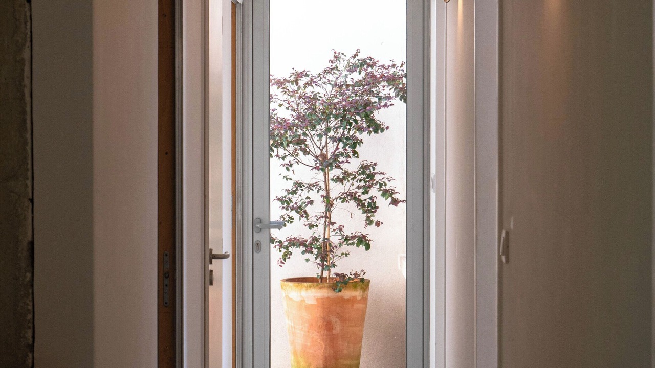 Photo of Others in Servas