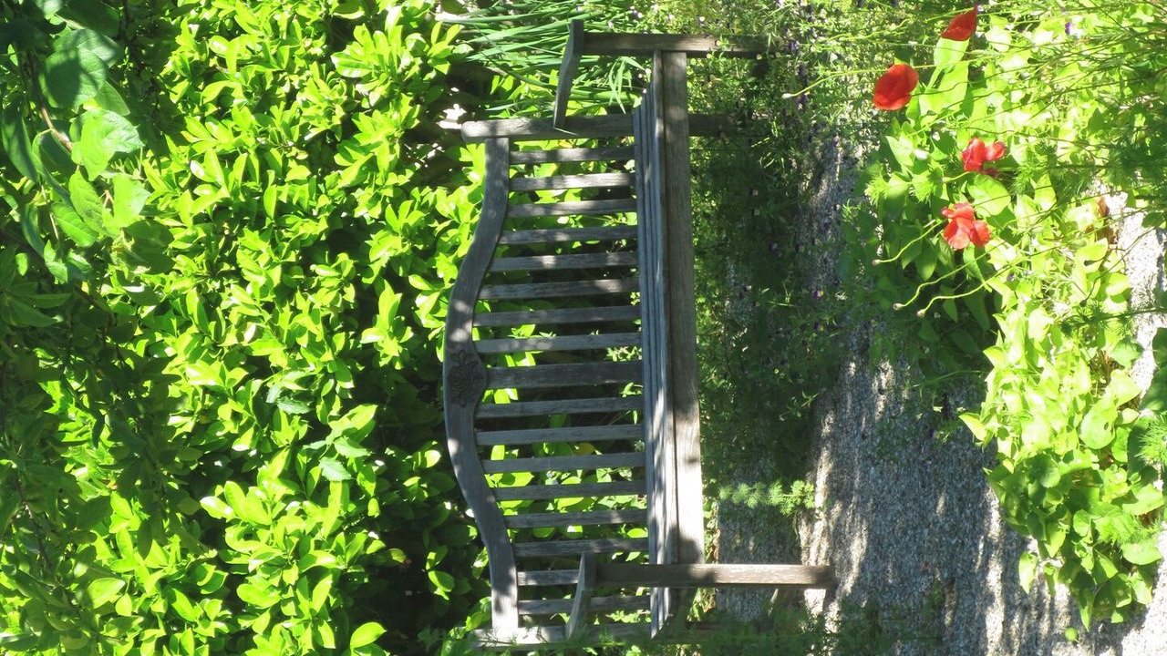 Photo of Outdoor in Nizas