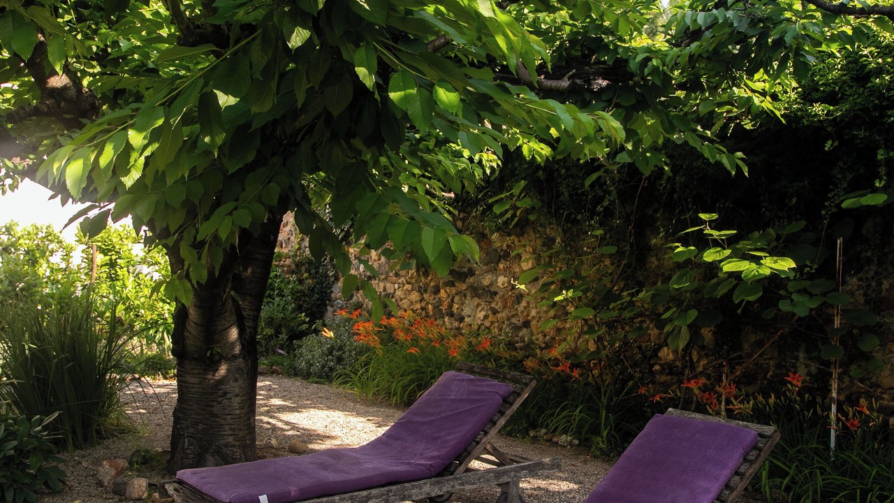 Photo of Outdoor in Nizas