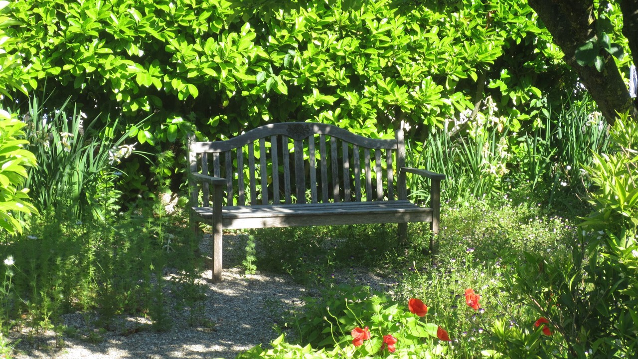 Photo of Outdoor in Nizas