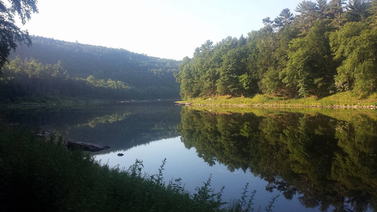 Photo of Others in Pond Eddy