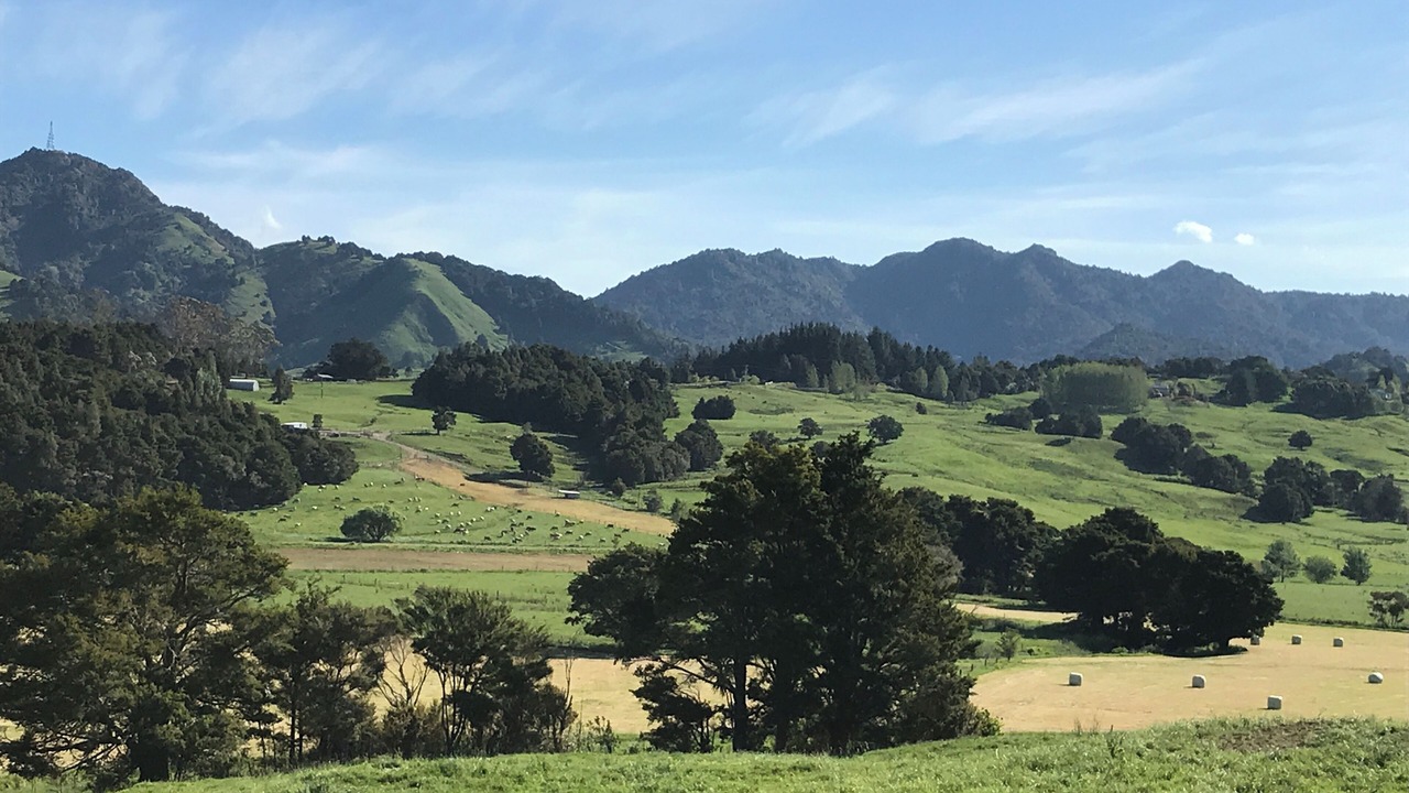 Photo of Others in Wheki Valley