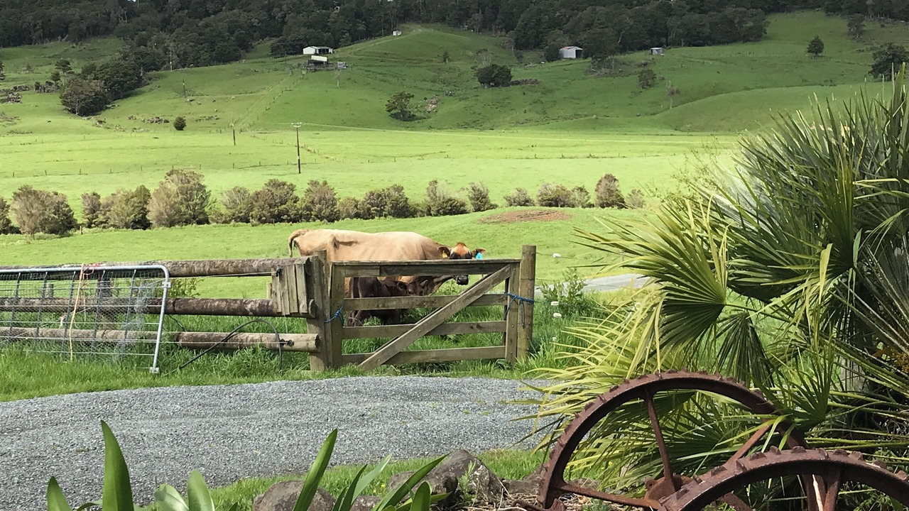 Photo of Outdoor in Wheki Valley