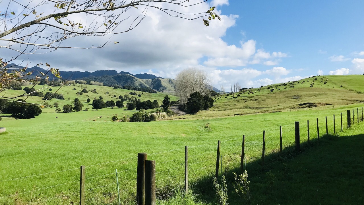 Photo of Others in Wheki Valley