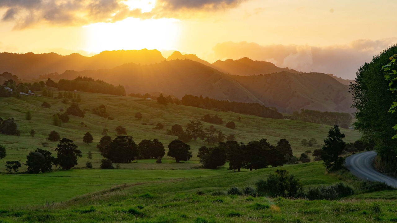 Photo of Outdoor in Wheki Valley