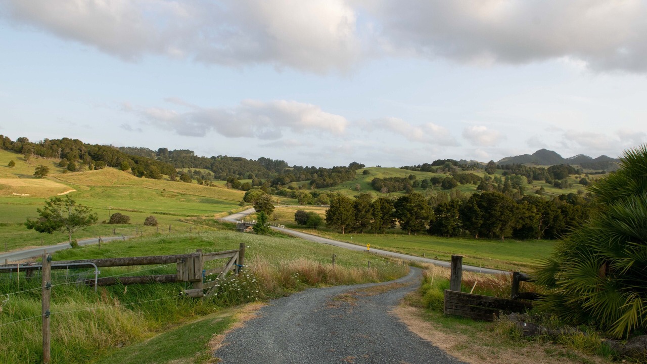 Photo of Outdoor in Wheki Valley