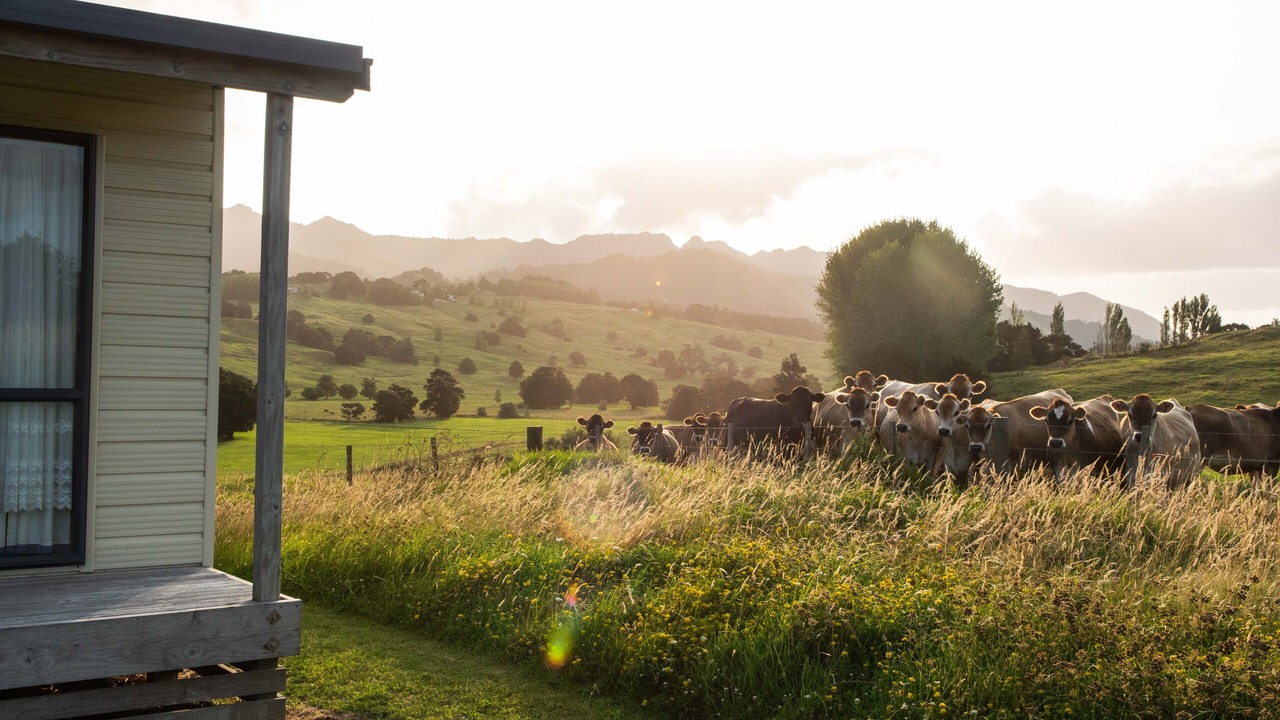 Photo of Outdoor in Wheki Valley