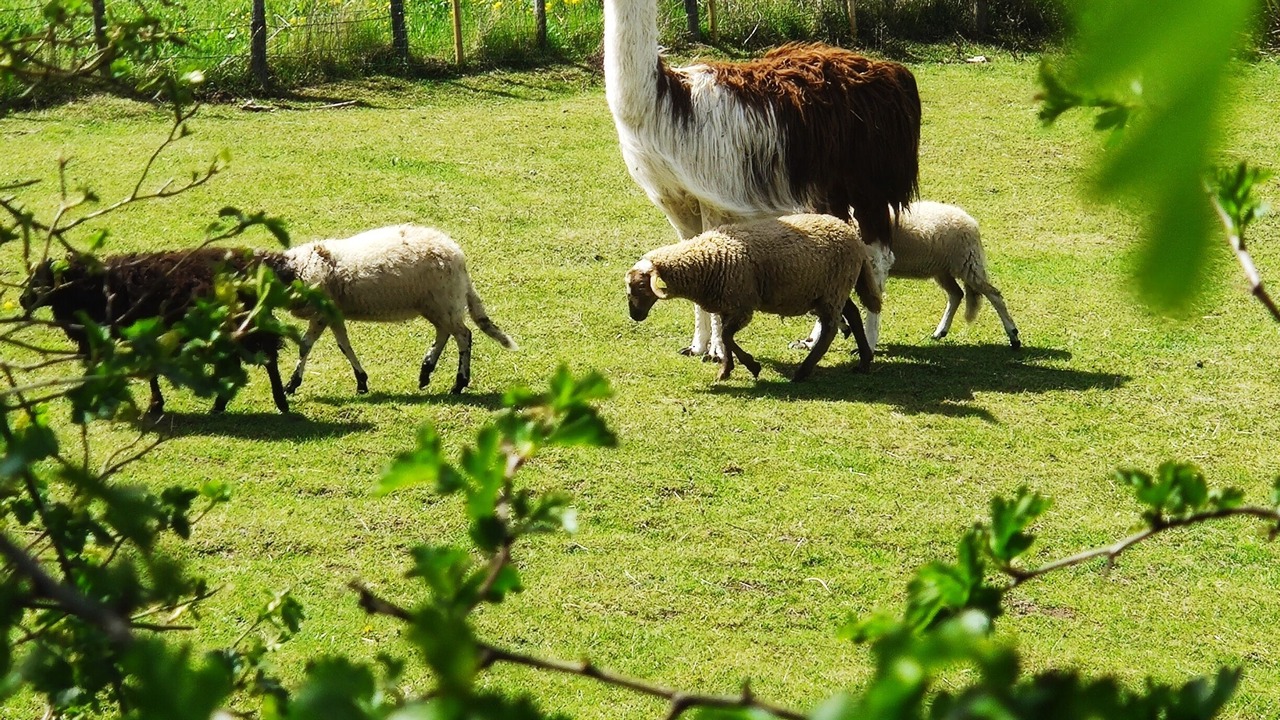 Photo of Outdoor in Saint-Nectaire
