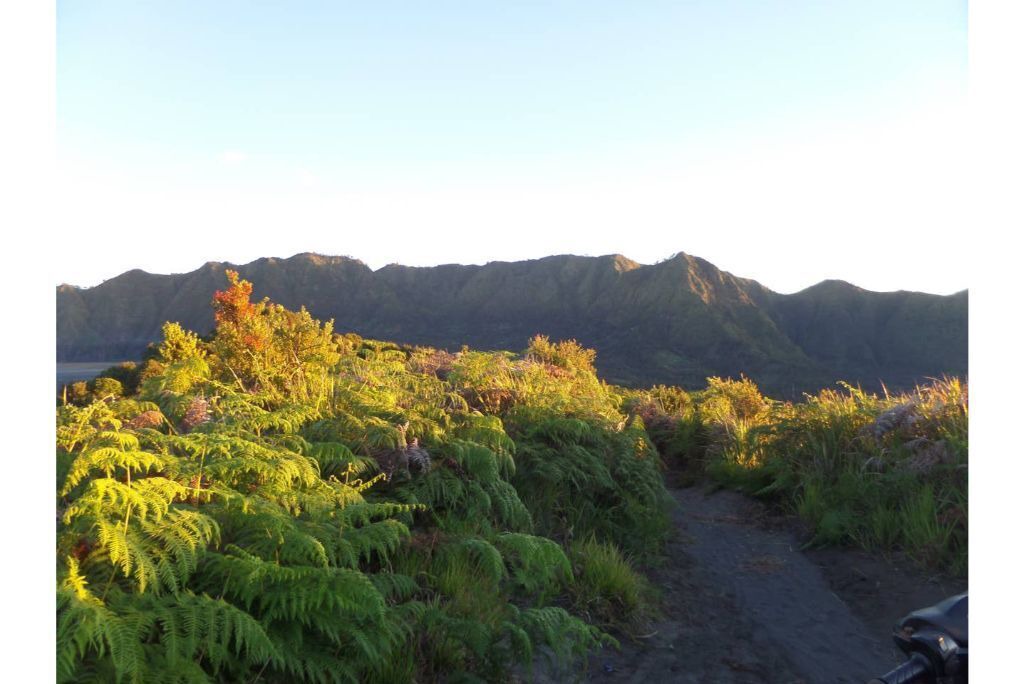 Photo of Outdoor in Banyuwangi