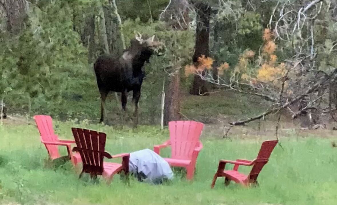Photo of Outdoor in Black Hawk