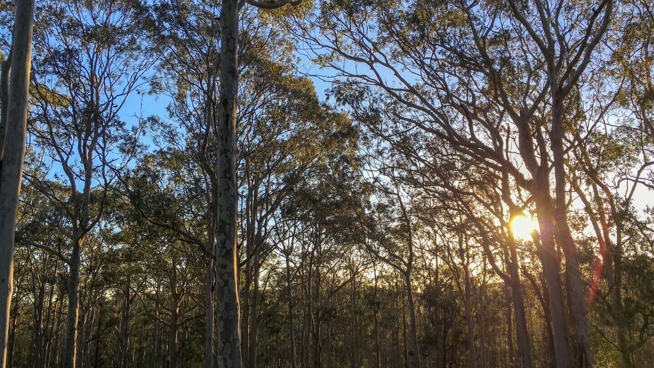 Photo of Outdoor in Lambs Valley