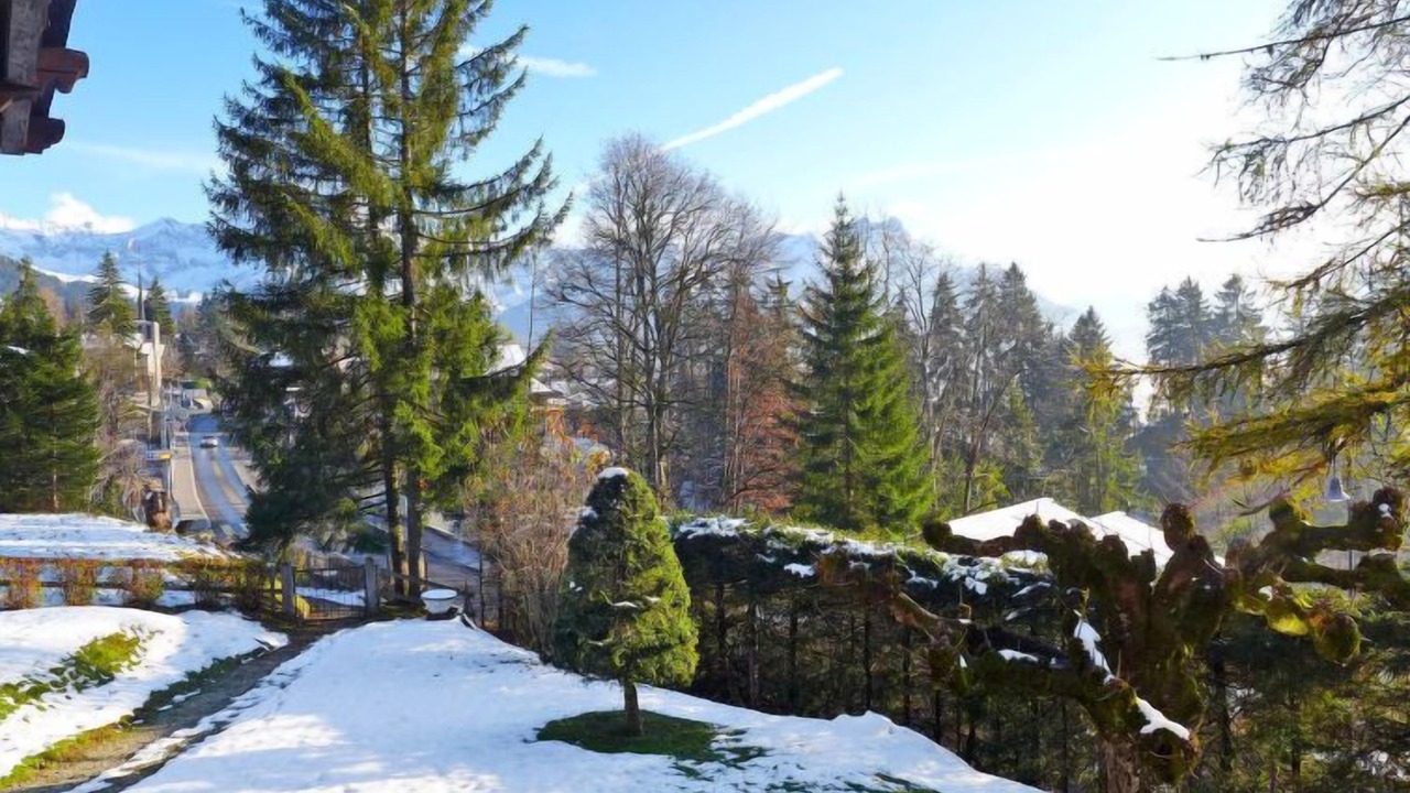 Photo of Others in Villars-sur-Ollon