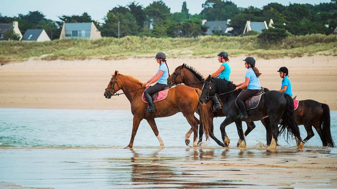 Photo of Others in Pleherel-Plage-Vieux-Bourg