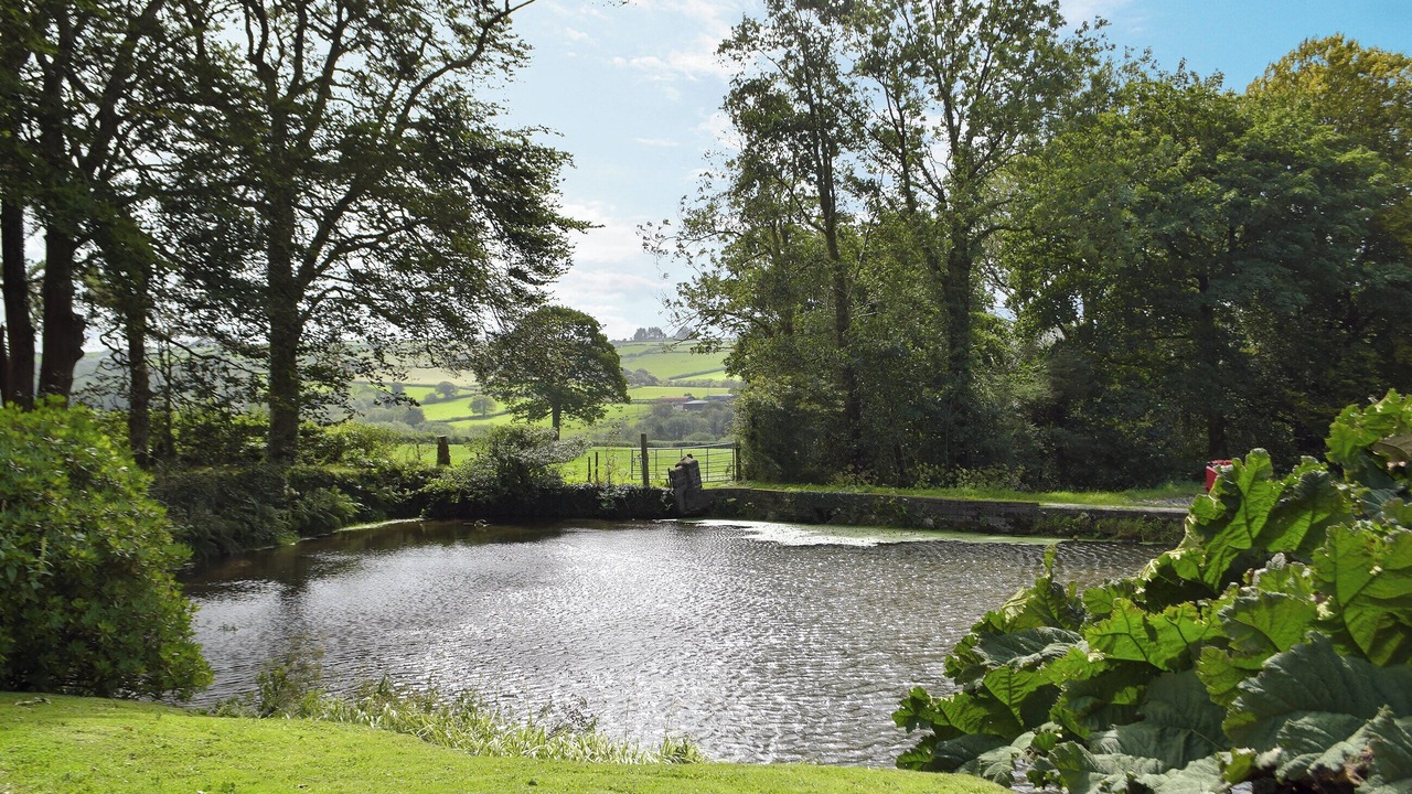 Photo of Outdoor in Cenarth