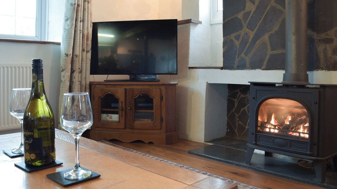 Photo of Others in Cenarth