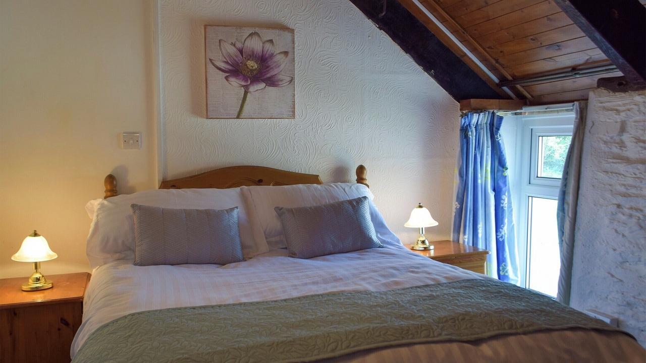 Photo of Others in Cenarth