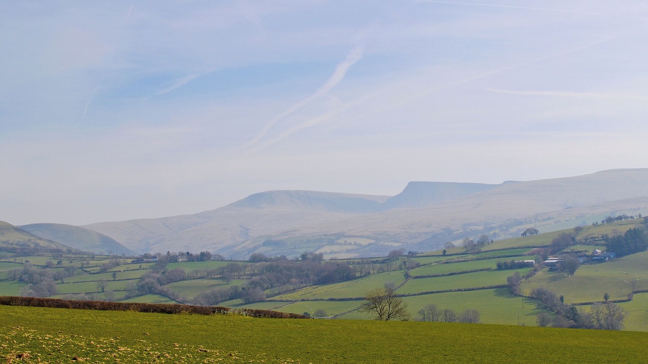 Photo of Others in Llandovery