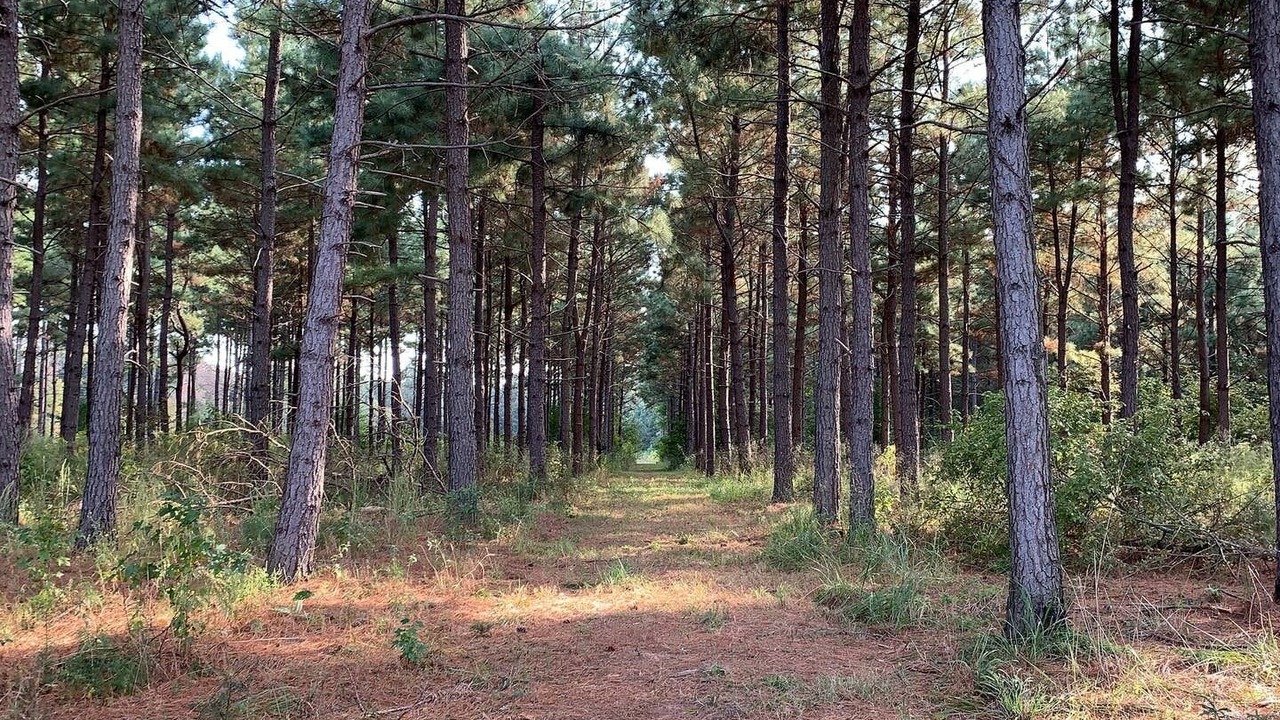 Photo of Outdoor in Swink